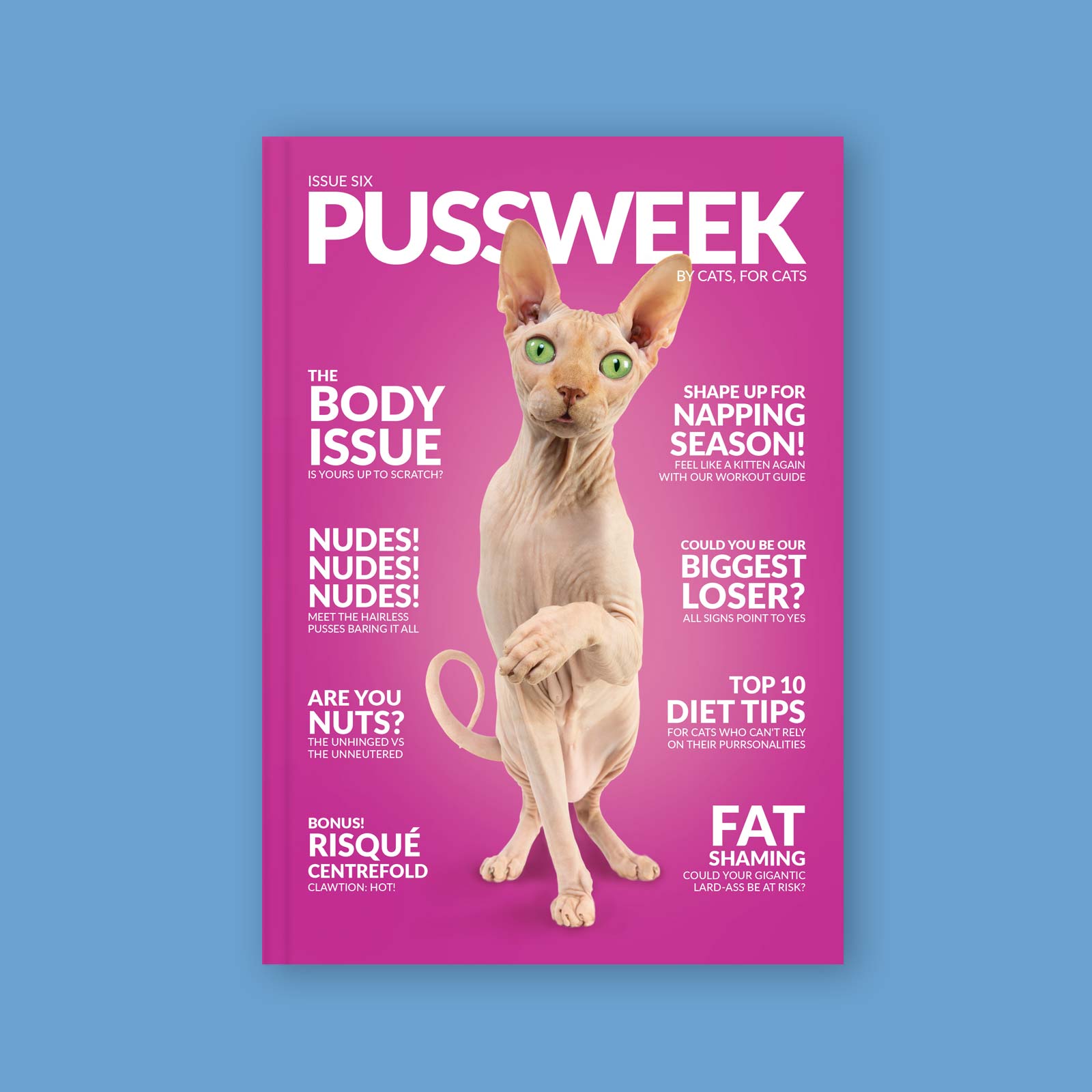 Pussweek Issue Six