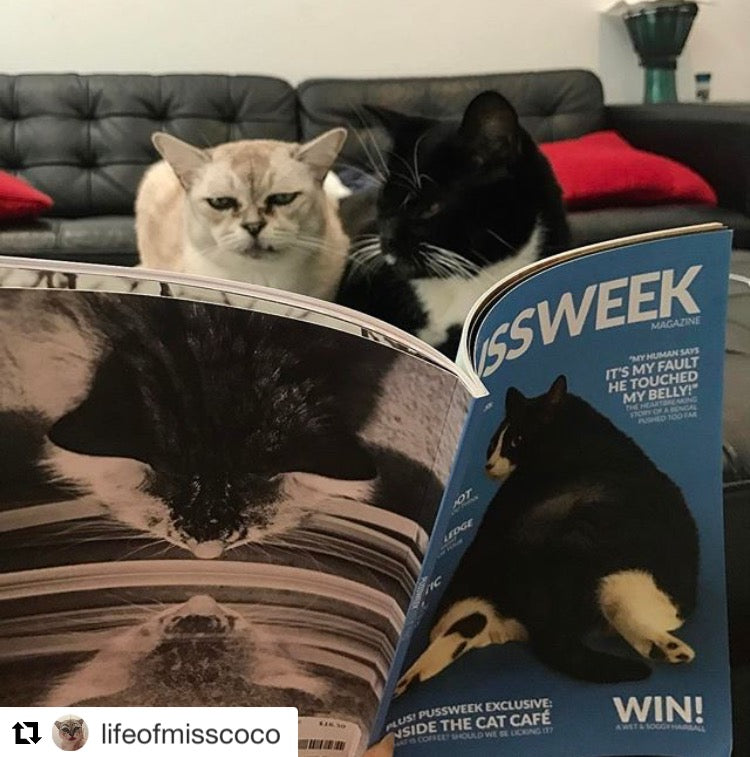 Pussweek Issue Two