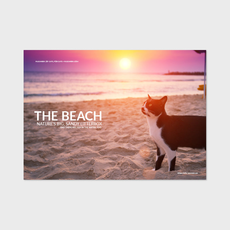 The Beach print