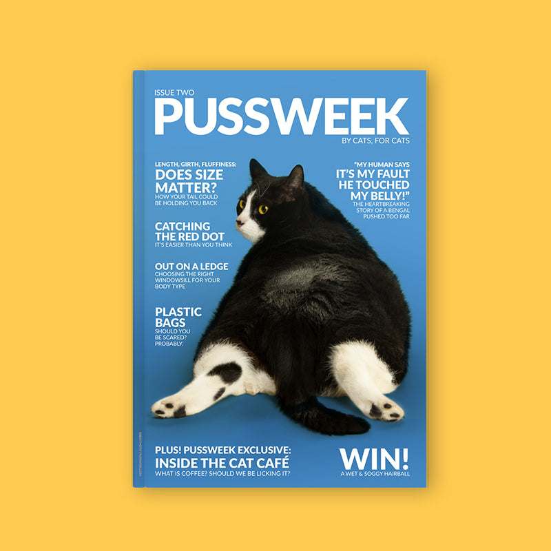 Pussweek Issue Two