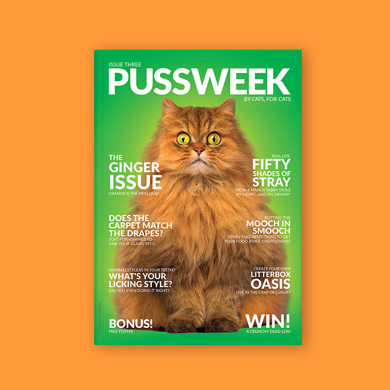 Pussweek Issue Three
