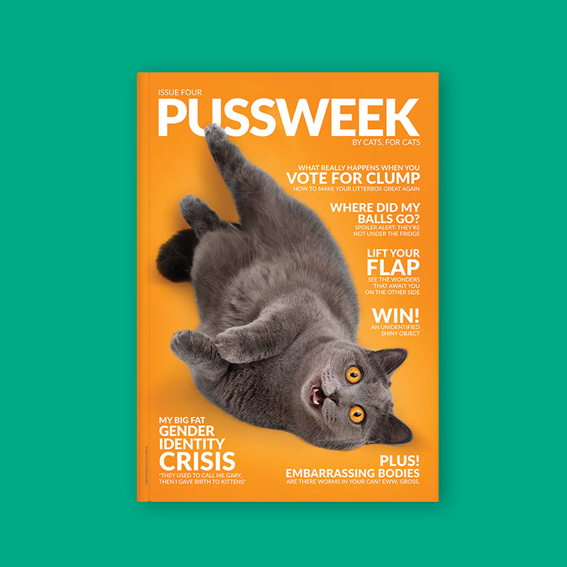 Pussweek Issue Four